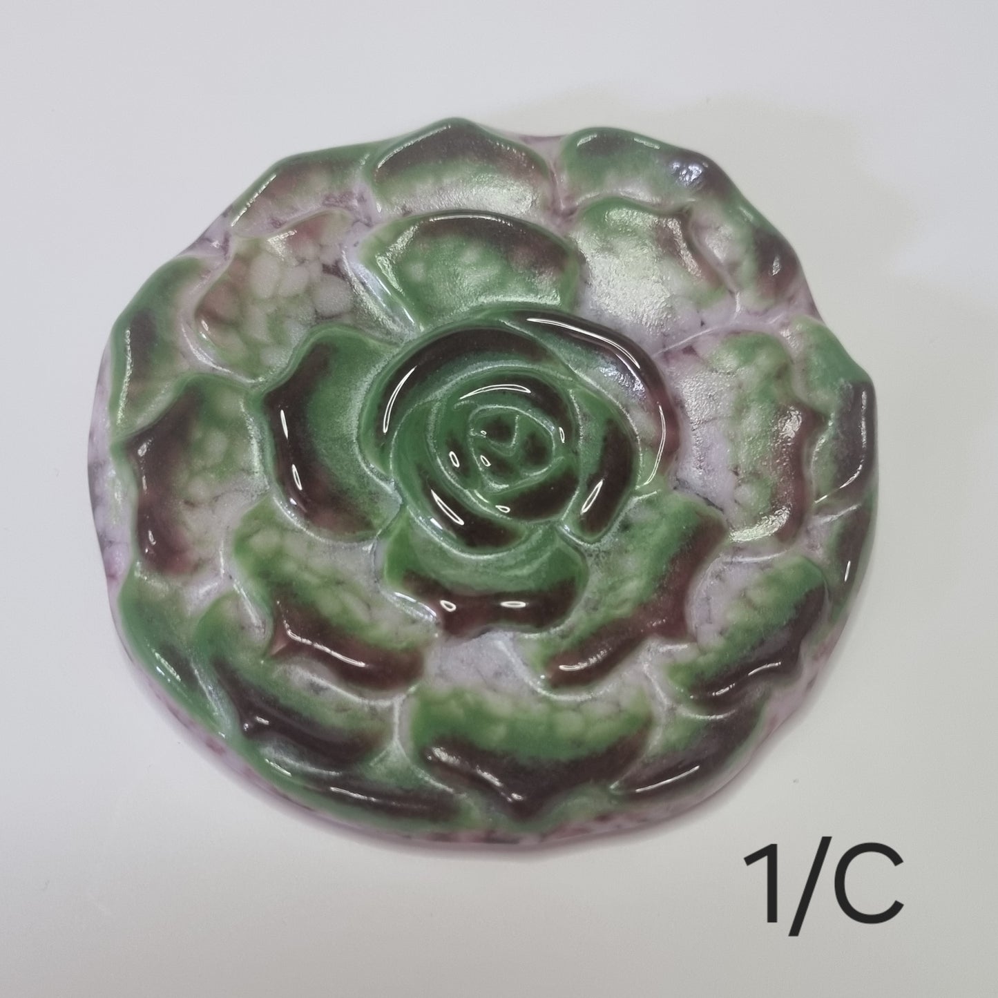 Succulent