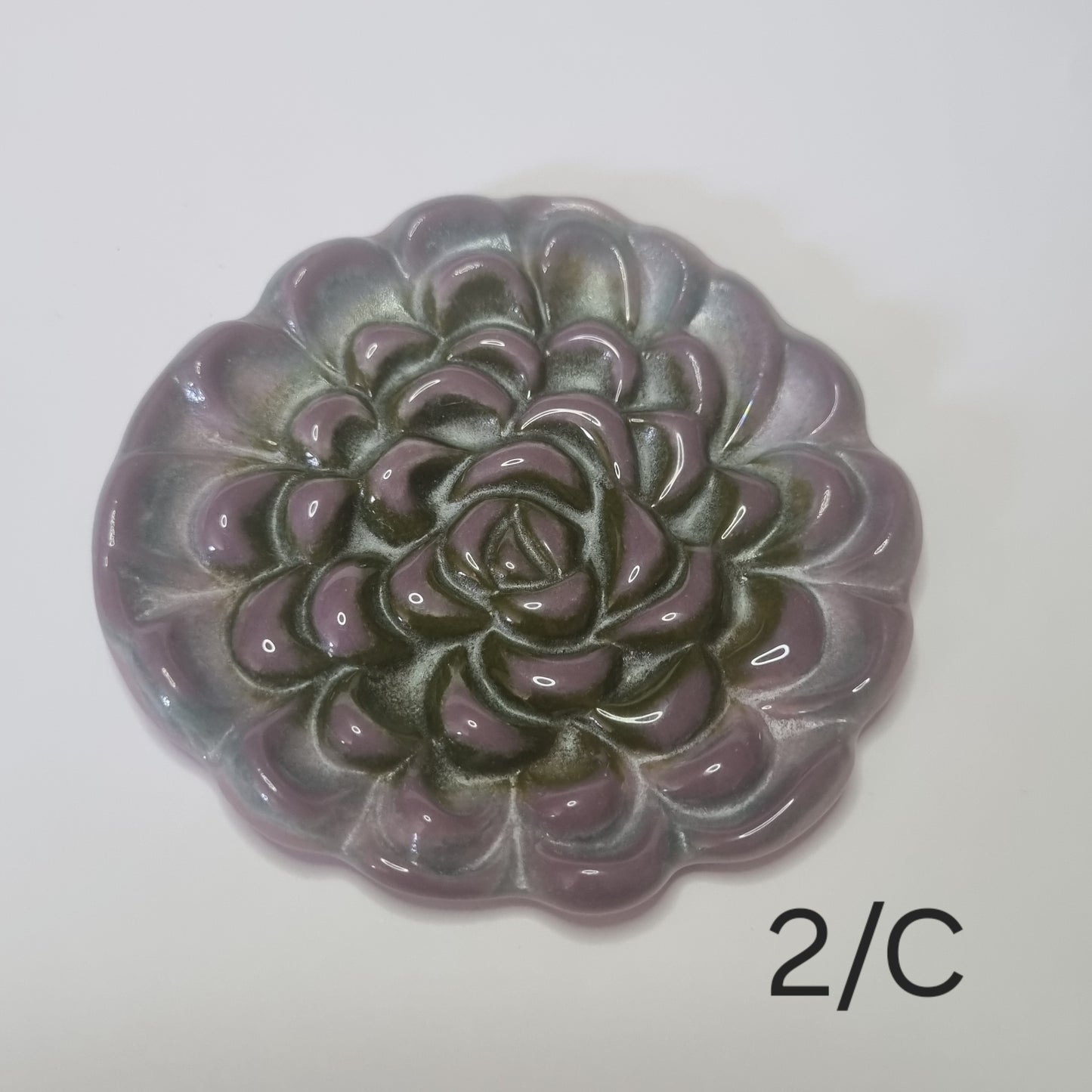 Succulent