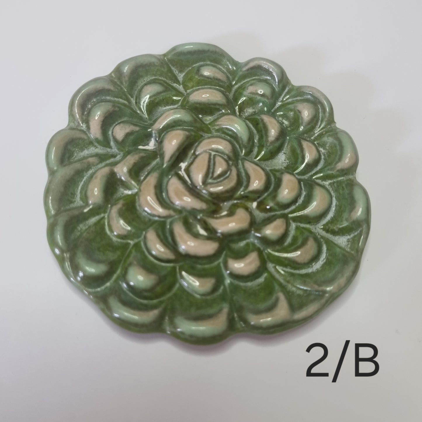 Succulent