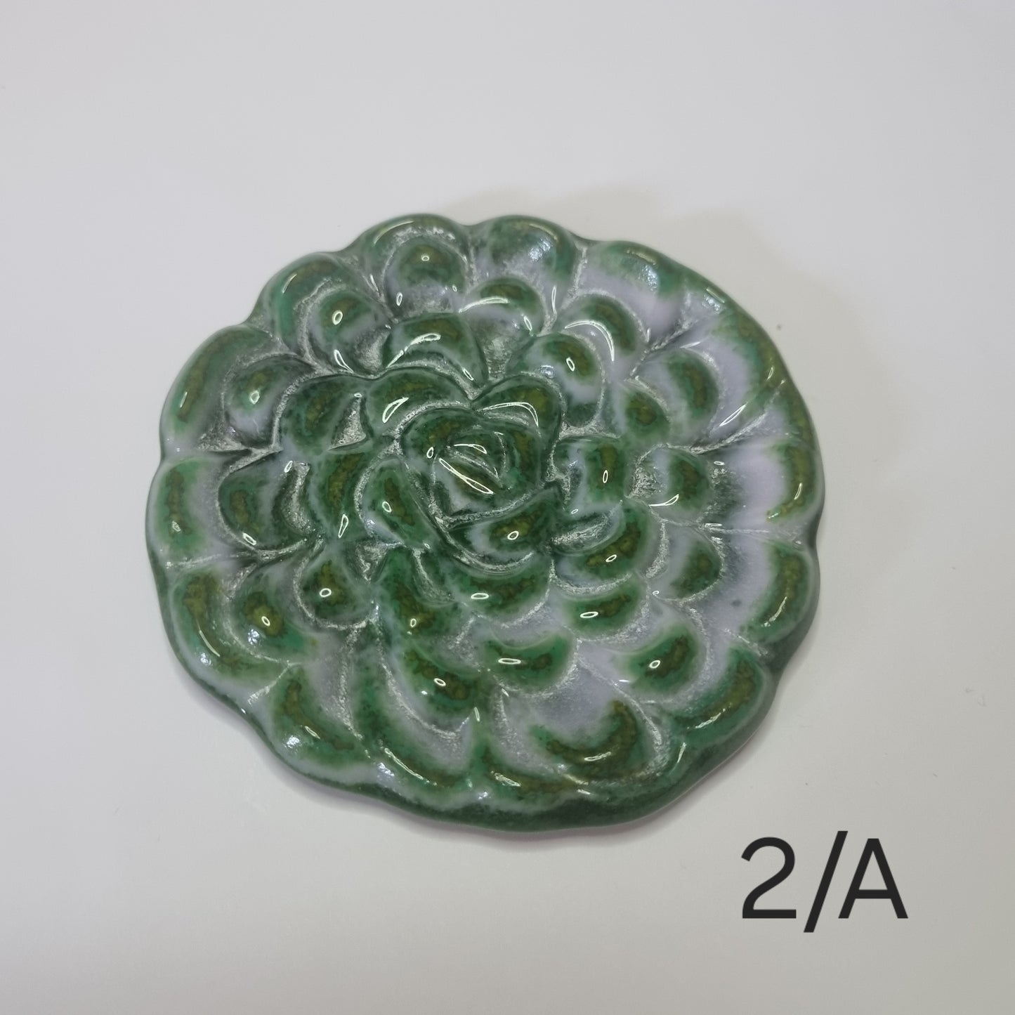 Succulent