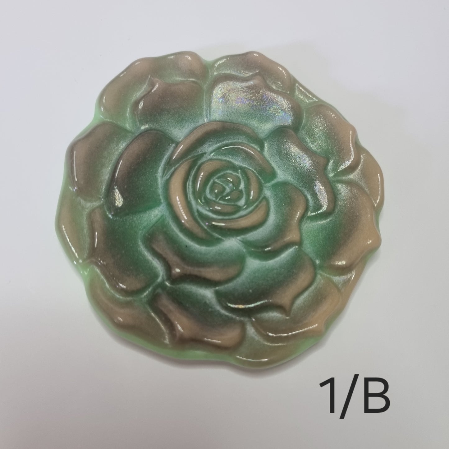 Succulent
